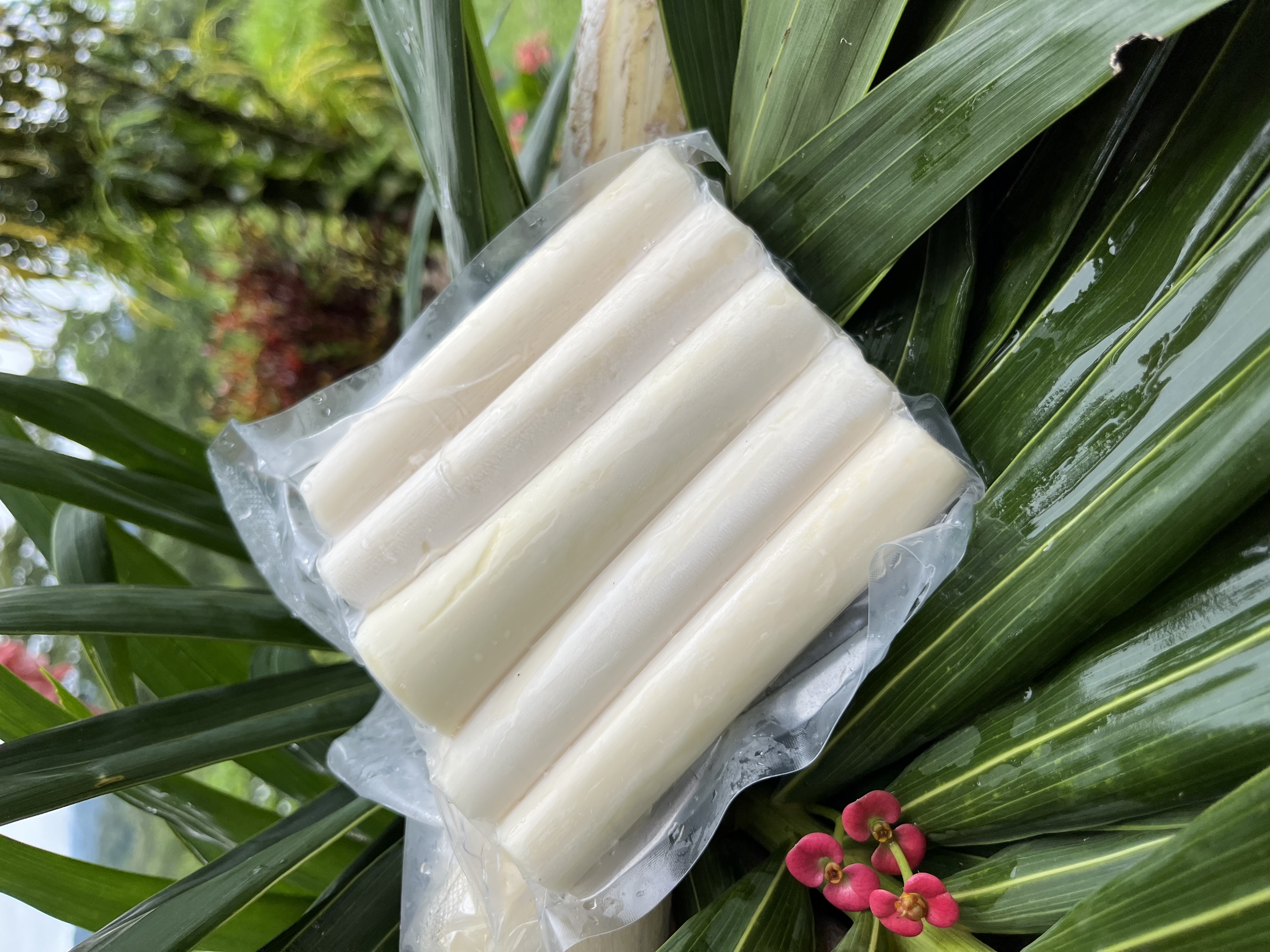 Palmito Orgánico Entero